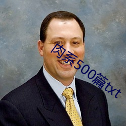 肉系500篇txt
