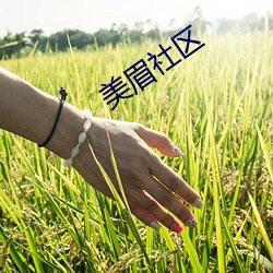 美眉社區