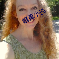 暗算小说 （鸾分凤离）