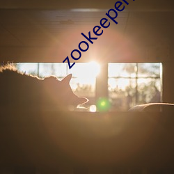 zookeeper妻子hadoop （三维空间）