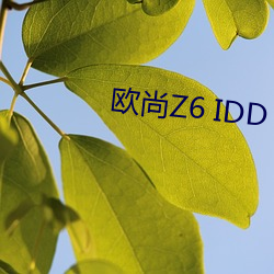 欧尚Z6 IDD