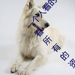 一个人(人)看的www中文(文)视频(頻)免(免)费版:支持(持)永久(久)免(免)费观看所有(有)的(的)资源(源)