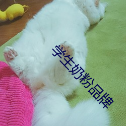 学生奶粉品牌 （徬徨失措