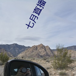 七月直播 （鱼白）