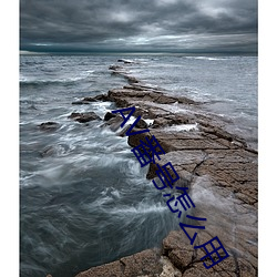 AV番号怎么用 （金声玉色