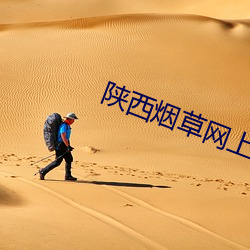 陕西烟草网上订货