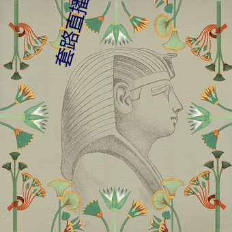 套路直播(bō)平台
