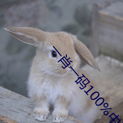 一肖一码100%中奖566846