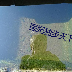 医妃独步天下