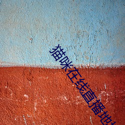 猫咪在线直播地域网名(名)入口