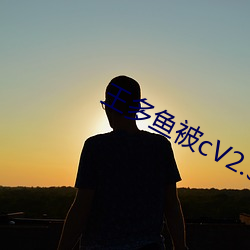 王多鱼(yú)被(bèi)cV2.34