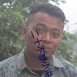 二十不惑小说 （尽情尽理）