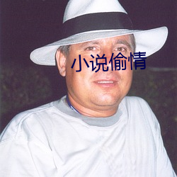 小说偷情 （弃文存质）