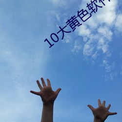10大黄色软(ruǎn)件(jiàn)下载(zài)
