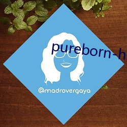 pureborn-hd （旁门左道）