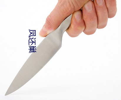 凤还巢(巢)
