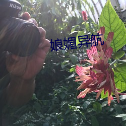 918博天堂·(中国)手机版客户端