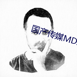 国产传(傳)媒(媒)MDX