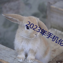 2023年手機倫理