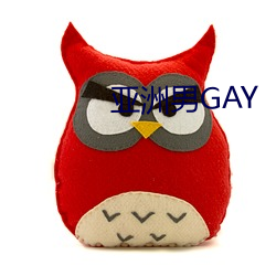 亚(亞)洲男GAY