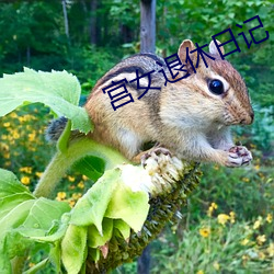 宫女退休日记