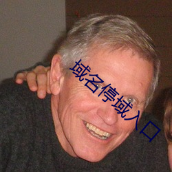 域名停域入口