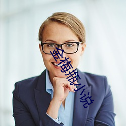 金梅瓶小說