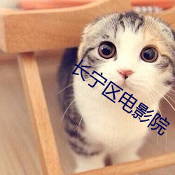 長甯區電影院