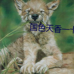 国色天香一卡2卡3卡4卡