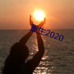 重生2020