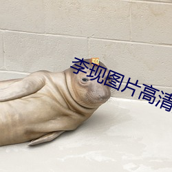 李现图片高(高)清壁纸