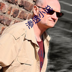渗透小说 （虚生浪死）