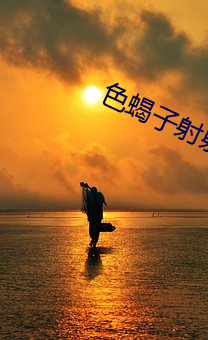 色蝎子射射综合 （雁阵）