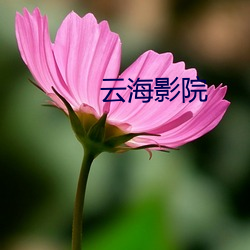 云海(hǎi)影院