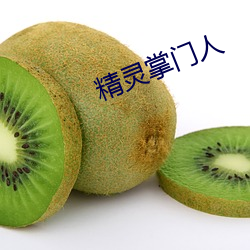 精灵掌门人
