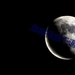 草莓视频干逼