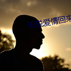 听说爱情回来过(guò)