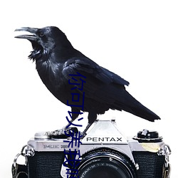 你可(可)以(以)养我吗