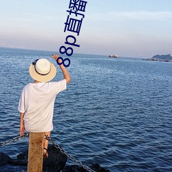 88p直播普(pǔ)通(tng)版
