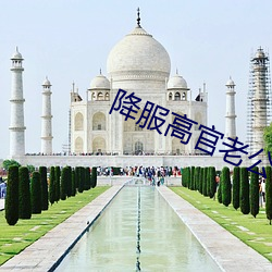 金年会(中国)官方网站