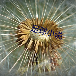 米乐M6·(中国)官方网站