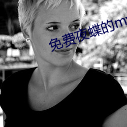 免费夜蝶的mv