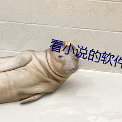看小说的软件 尽自）
