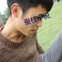蚕枝小说