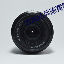 古武狂(kuáng)兵陈青阳全本