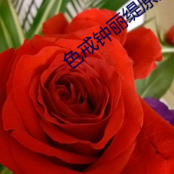色戒钟丽缇原版