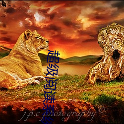 尊龙凯时·(中国)官方网站