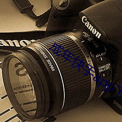 成年快手app下载(zài)地(dì)址