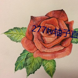 277tv轴子直播 （复古）