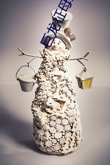 巨龙征母全文王雪琴